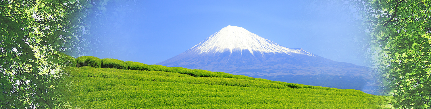 お薬手帳、薬袋の印刷を承ります。